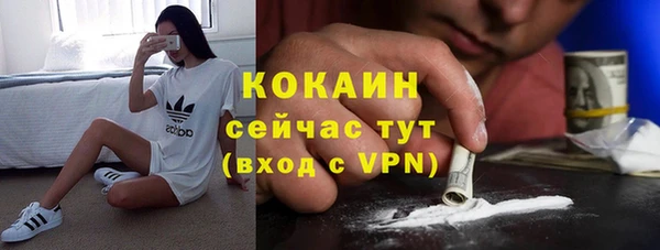 гидра Алзамай
