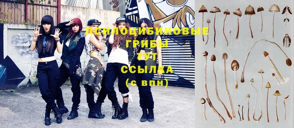 гидра Алзамай