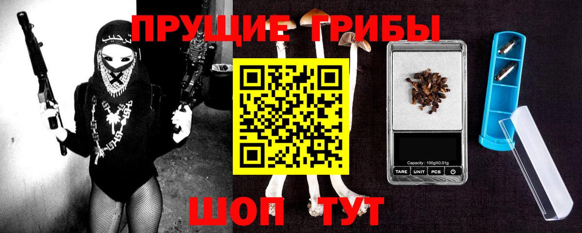 Ковров  Псилоцибиновые грибы MAGIC MUSHROOMS  Вход с VPN 